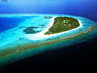 Coco Palm Dhuni Kolhu