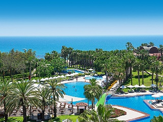 Arum Barut Collection