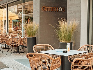 Ammos Beach Seaside Luxury Suites by Ammos Hotels & Villas