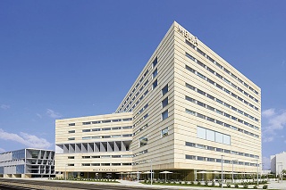Meliá Palma Bay
