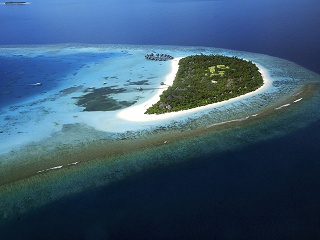 Coco Palm Dhuni Kolhu