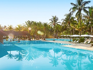 The Ravenala Attitude 