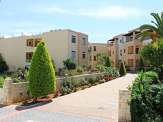 Creta Palm