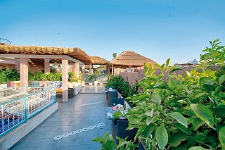 Riad les Oliviers