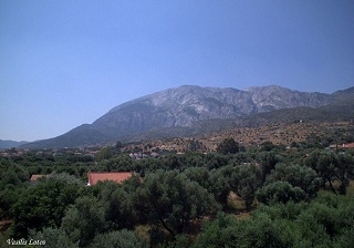 Hotel Sofia