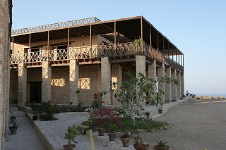 The Oasis